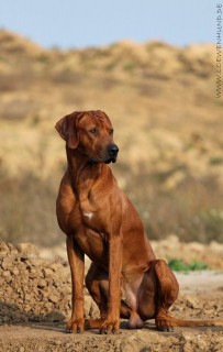 Champ.  Imkahena Hanouk